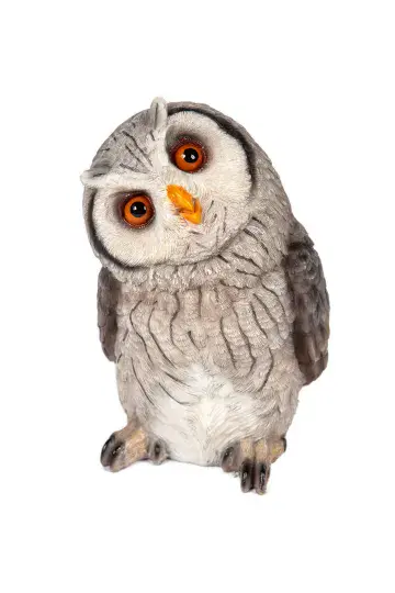 Listing Owl - 18cm
