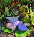 Summer Fairies - 5 to choose from,