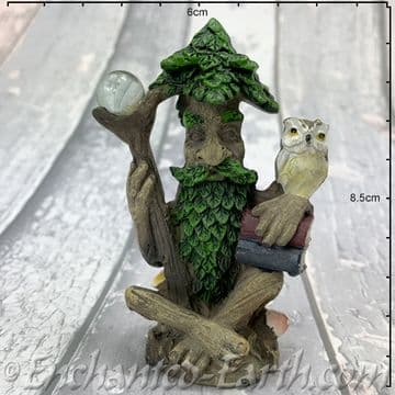 Magical Wise Old Tree Ent with Owl - Sitting with staff on the left