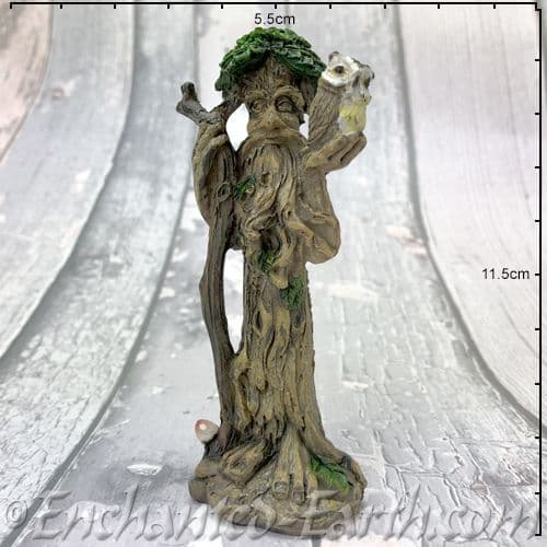 Magical Wise Old Tree Ent with Owl - Standing with staff on the left.