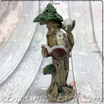 Magical Wise Old Tree Ent with Owl - Standing with staff on the right