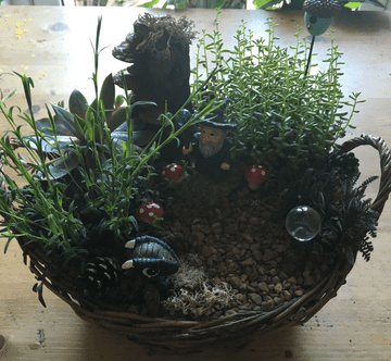 Magical Wizards Garden