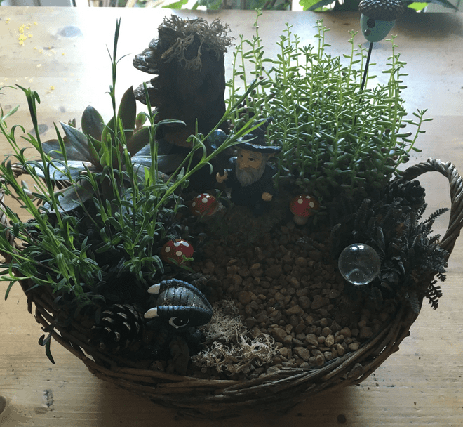 Magical Wizards Garden