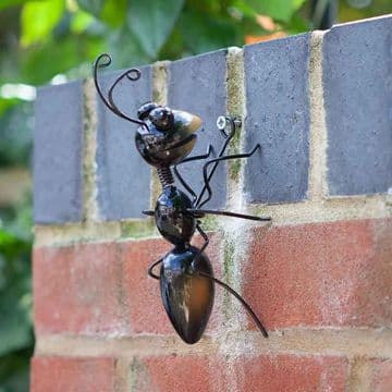 Metal Garden Ant - wall Hanger
