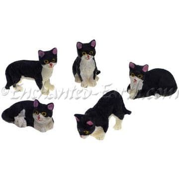 Minature Garden Black & White Cat