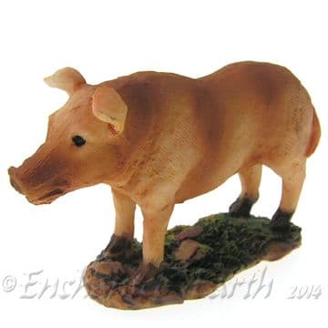 Mini Garden Pig