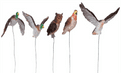 Miniature Garden Bird set - Set of 5 Hand Painted birds