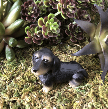 Miniature Garden Dog - Dachshund