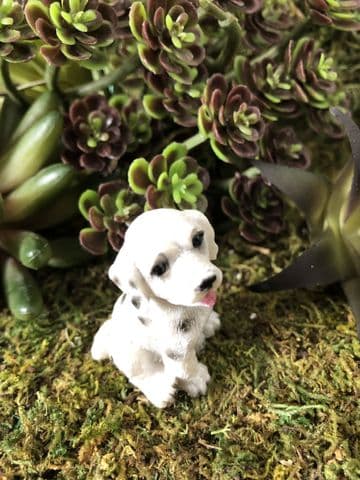 Miniature Garden Dog - Dalmation