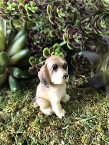 Miniature Garden Dog - Hound