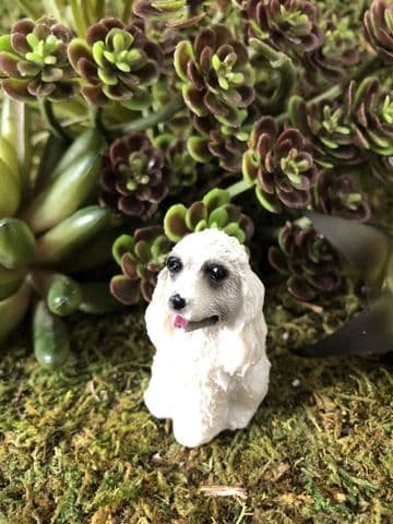 Miniature Garden Dog - Poodle