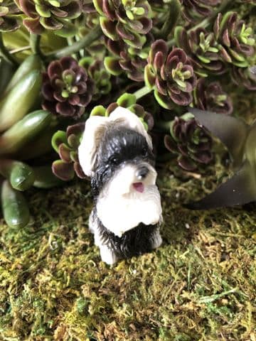 Miniature Garden Dog - shitzue