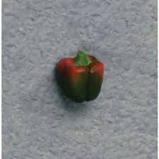 Miniature Garden Red & Green Sweet Peppers -pack of 2