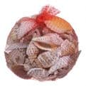 Mixed Beach Shells - 400g Net.