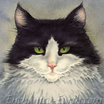 Moongazer Greeting Card- Harvey The Cat