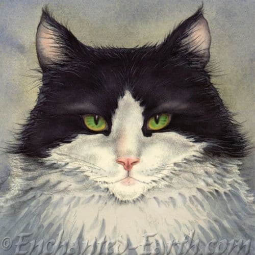 Moongazer Greeting Card- Harvey The Cat.