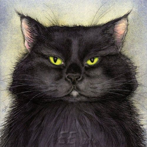 Moongazer Greeting Card- Witches Black Cat.