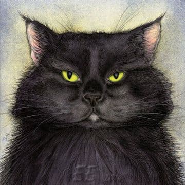 Moongazer Greeting Card- Witches Black Cat