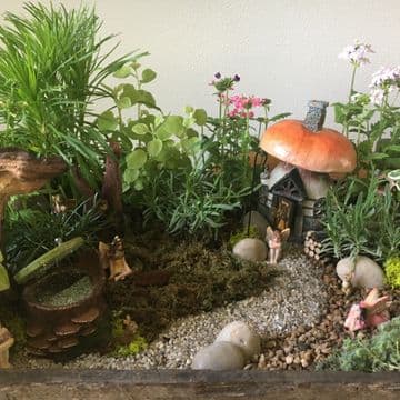 Mushroom Cottage Garden in a Vintage Apple crate