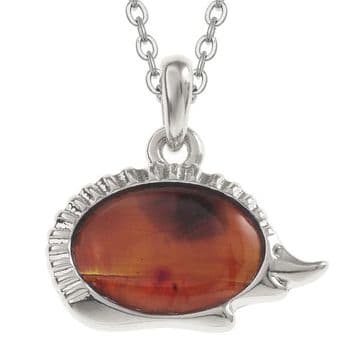 Natural Paua Shell - Amber Hedgehog - Tide Jewellery