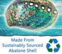 Natural Paua Shell  -  Enchanted Fairy Earrings.