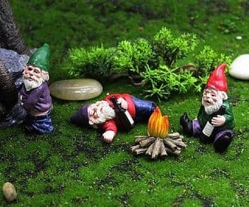 Naughty Drunken Gnomes
