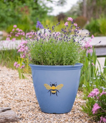 New Blue - Busy Bee Wildlife Eco Planter - Recycled Plastic - Large 38cm