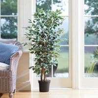 New for 2026 - Artificial Plants