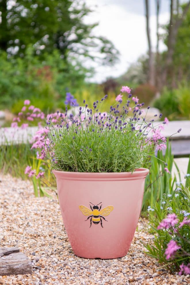 New Pink - Busy Bee Wildlife Eco Planter - Recycled Plastic - Large 38cm.