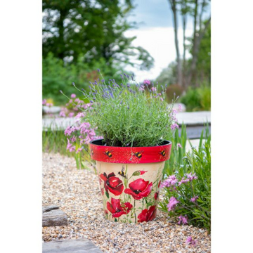 New Water colour Poppies & Bee - Eco Planter - Recycled Plastic - 30cm