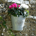 Olive Branch Wall Planter - Pail Grey - Made From 100% recycled Plastic.