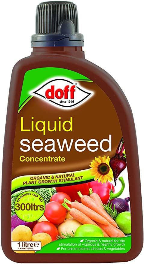 Doff Liquid Seaweed Concentrate - Large 1lt Bottle.