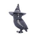 Owlocen - Witches Owl Figurine  - 13.5cm.