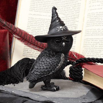 Owlocen - Witches Owl Figurine - 13.5cm