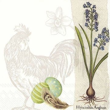 Pack of 20 Quality Paper Napkins - Botanical Cockerel