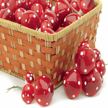 Pack of Large Red Crafting Toadstool Picks- 3 Sizes