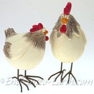 Pair of Country Chickiens - Spring Chickens
