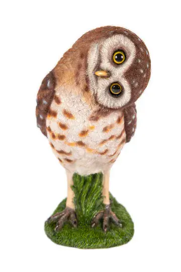Peering Owl - 24cm