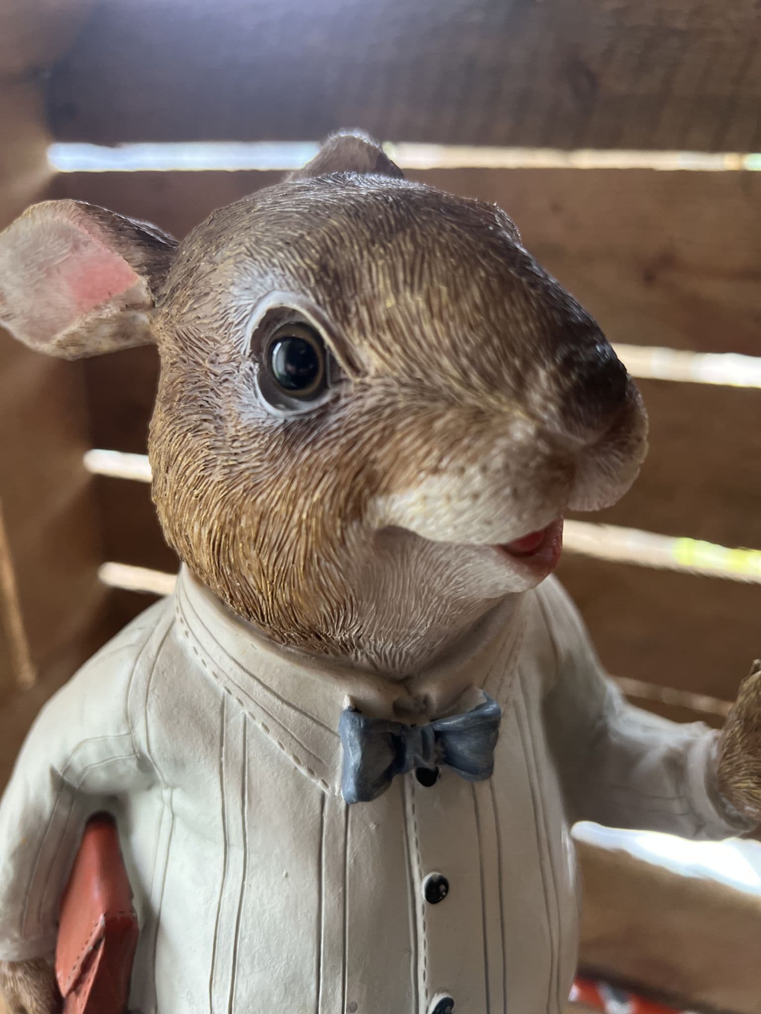 Peter The Garden Rabbit (Wind In the willows style).