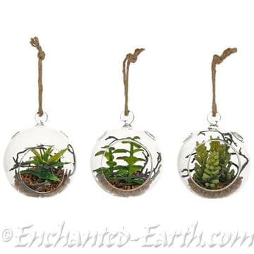 Planted Glass Globe Terrarium  (Choose from 3 designs)