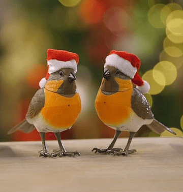 PRE ORDER - Animated Musical Robin with Motion Sensor
