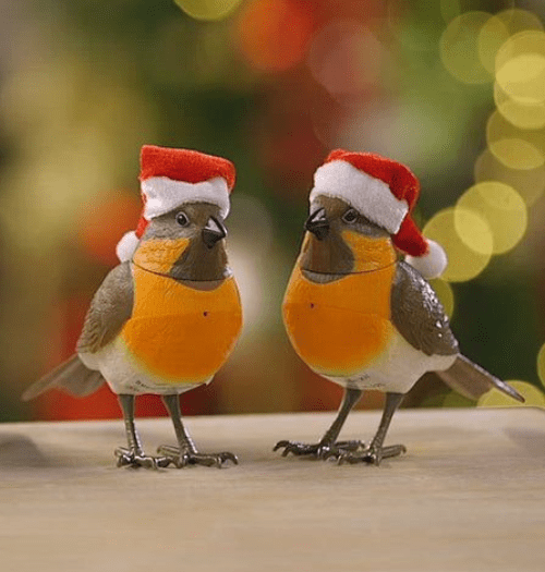Animated Musical Robin with Motion Sensor.