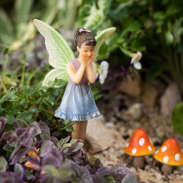 Prettmans Garden Fairy - Jasmine