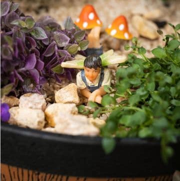 Prettmans Garden Fairy - Kia