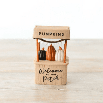 Pumpkin Patch - 10cm