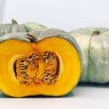 Pumpkin Seeds - Jack o'Lantern.