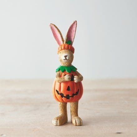 Cute Witch Rabbit with Wheelbarrow - Freshly Picked Pumpkins.