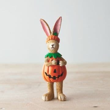 Rabbit dressed as a Pumpkin