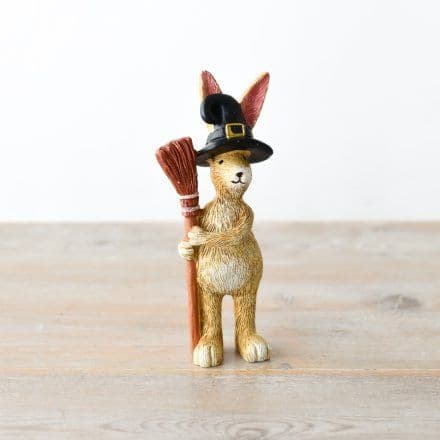 Rabbit dressed as a Witch.