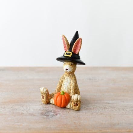 Rabbit with Pumpkin.